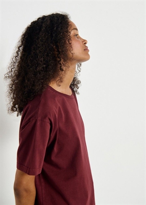 Fizvalley tee Bordeaux American Vintage 